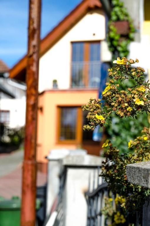 Hotel Relax Penzion U Adama Dolná Tižina Exterior foto